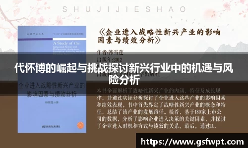 代怀博的崛起与挑战探讨新兴行业中的机遇与风险分析