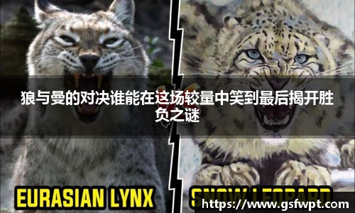 狼与曼的对决谁能在这场较量中笑到最后揭开胜负之谜
