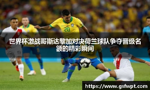 博鱼体育平台