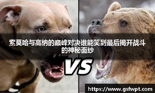 博鱼体育官网
